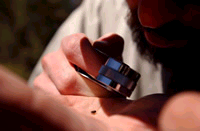 Matt Jedra, a graduate student at Northern Arizona University, examines a bark beetle. AP Wide World