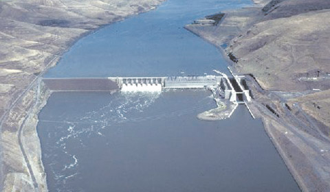 Little Goose Dam, one of the supposed culprits contributing to the decline of Steelhead and Salmon in the Snake River.
