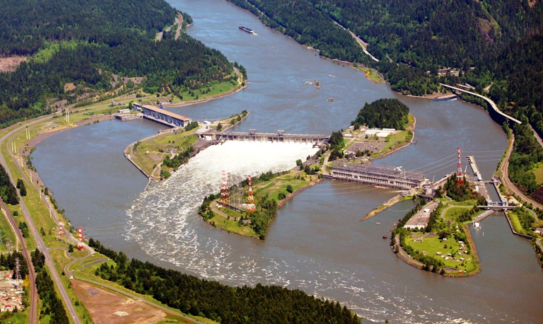 The Bonneville Dam marks the beginning of the lower Columbia River. Scientists say the health needs of this section of river go beyond salmon recovery