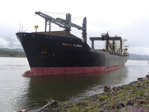 (Leslie Slape) Ship aground near Kalama May 23, 2010