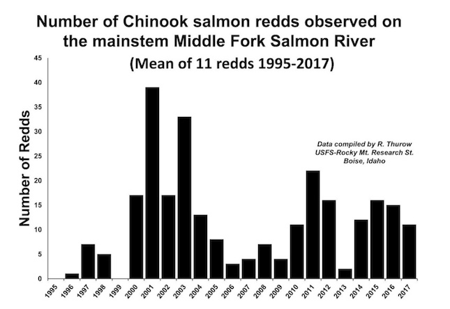 Graphic: Number of Chinook spawning redds observed in the Middle Fork Salmon River from 1995 to 2017 (Data compiled by Russ Thurow, USFS-Rocky Mountain Research Station)