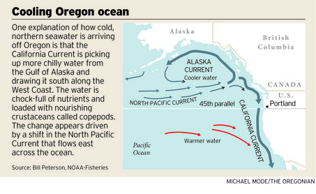 Cooling Pacific NW graphic by Michael Mode, source: Bill Peterson, NOAA Fisheries