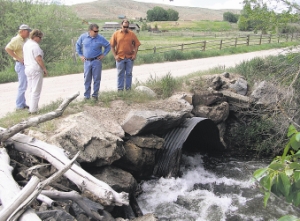 Allen Bradbury/Upper Salmon Basin Watershed Program via AP
In this photo from 2009 provided by the Upper Salmon Basin Watershed Program, ranchers and land managers Quinton Snook, left, Jan Brady, Hans Koenig, and Mike Edmondson stand near an aging culvert crossing Carmen Creek, a tributary of the Lemhi River, in Lemhi, Idaho, before it was replaced. As part of a project to improve habitat on the stream, a pre-engineered, modular bridge was installed in 2011. It's just one of hundreds of projects completed by the Upper Salmon Basin Watershed Program, a 20-year-old cooperative effort to restore habitat for endangered salmon and steelhead while preserving central Idaho's rich ranching heritage.