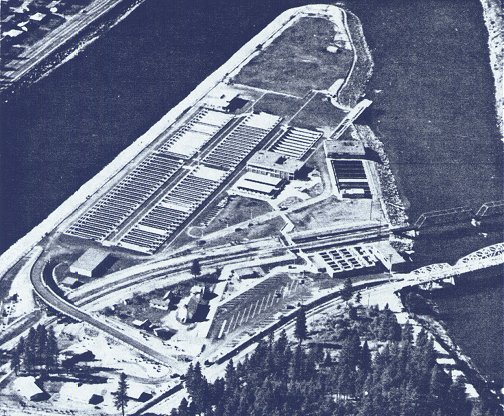 Early aerial photo of Dworshak Hatchery in Idaho is the world's largest for steelhead production designed to mitigate for the loss of the Clearwater River's world-record natural production.