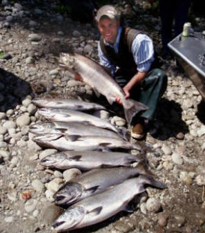 Fall Chinook Salmon are found at Tillamook Bay, Wilson River, Trask River, Columbia River, and in many Columbia River tributaries.
