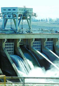 (Nicole Barker) Spillways open as yearling Chinook Salmon traverse through the raging waters Monday at McNary Dam.