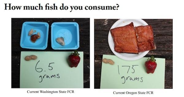 Washington State's recommended fish consumption rates boil down to just 6.7 grams per day per resident, or one eight-ounce fillet per month.In contrast, Oregon's rate to determine how much contamination is allowable in its waters assumes a 175-gram-per-day consumption rate, or about 24 eight-ounce fillets per month.