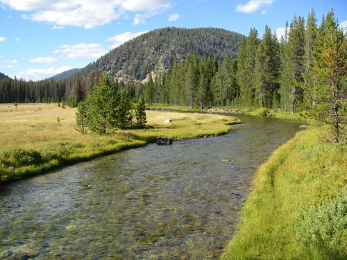 Marsh Creek near Stanley is an important salmon spawning stream.