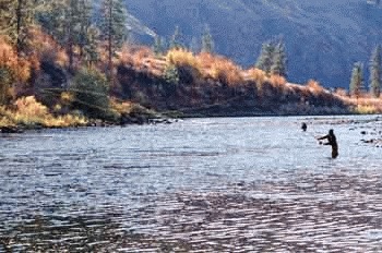 (Keith Ridler) Anglers on the Grande Ronde River could see more steelhead returning in the fall if an Oregon Department of Fish and Wildlife experiment is successful.