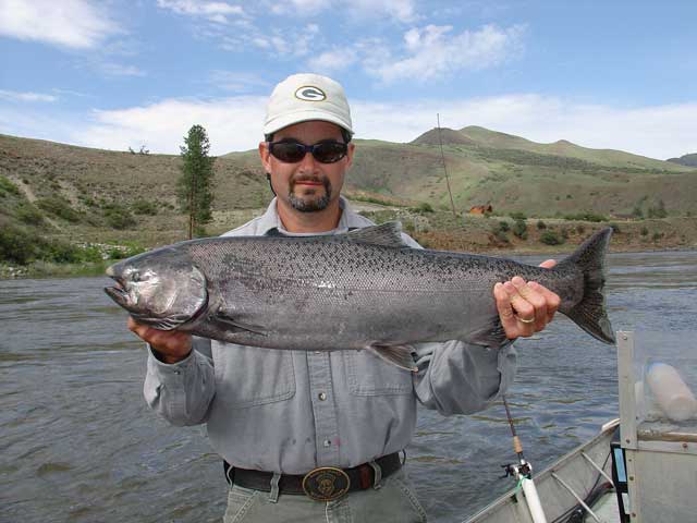 Scott's Salmon River Chinook (IDF&G photo)