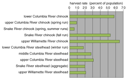 Commercial Harvest Rates of Salmon
