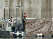 (AP) Police and investigators from Oregon Fish and Wildlife investigate the death of sealions held in this cage at the Bonneville Dam on the Columbia River between Washington and Oregon, east of Portland.