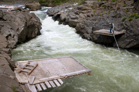 (Rob Finch) In this 2008 photo, Leonard Dave Sr. of the Yakama Nation fishes at Lyle Falls on the Klickitat River, a tributary of the Columbia River.