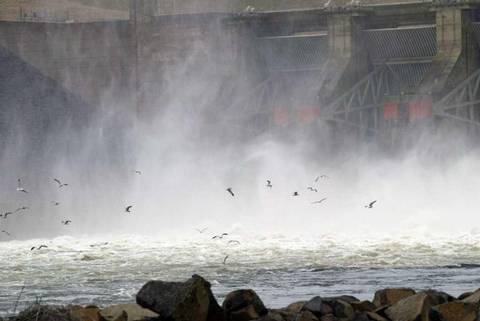 Gulls in search of easy eating circle the turbulent water below Little Goose Dam on the Snake River as water runs over the spillway during a spring runoff.