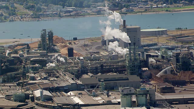 Weyerhauser is being sued for violating state and federal laws limit facilities' output of Biochemical Oxygen Demand, oil and grease, pH levels and settleable solids.