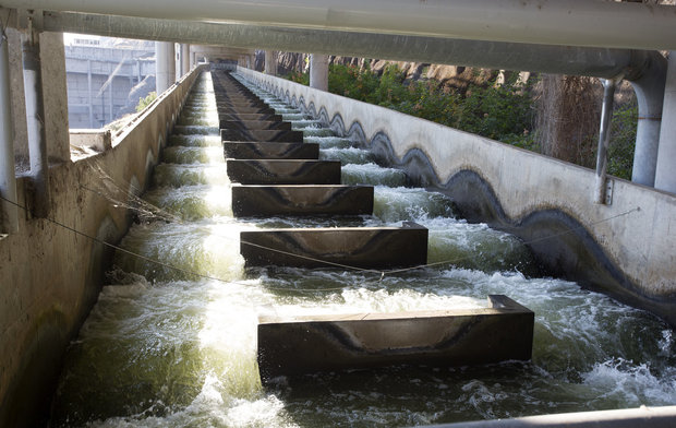 In this file photo taken Sept. 24, 2014, water flows through a fish ladder at Lower Granite Dam on the Snake River in Washington state. There is a renewed push to remove Lower Granite and three other dams on the Snake River to save wild salmon runs. (Dean Hare/The Moscow-Pullman Daily News via AP, File)