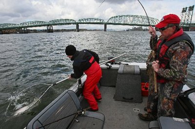 Steelhead and Chinook fishing with Astoria Bridge in sight.