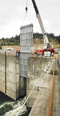 (Dave Olson) Workers using a crane install a temporary steel grate measuring 12 feet wide by 37 feet tall at the opening of one of 12 fish ladders at the foot of Bonneville Dam.