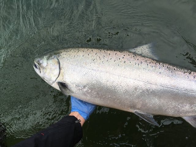 Anglers will see improved salmon fishing on the central Oregon Coast and ample opportunities in the Columbia River despite a downturn in 2018 forecasts.(Bill Monroe)