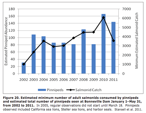 Estimated minimum number of adult salmonids consumed by pinnipeds and estimated total number of pinnipeds seen at Bonneville Dam from 2002 to 2011.