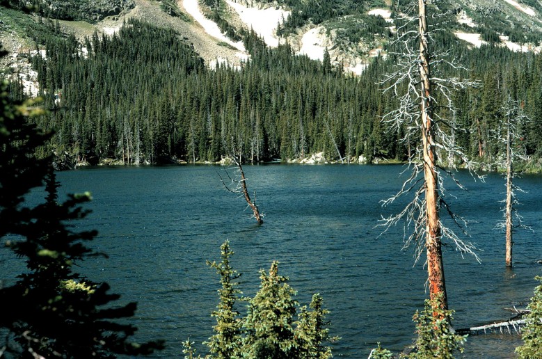 A pristine lake near the headwaters of natal salmon streams.