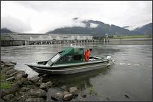 One of three boats provided by different agencies, including the Oregon State Police, is seen down river following a sea lion hazing experiment at Bonneville Dam, Wash., Thursday, May 5, 2005.  Hungry sea lions feasting on chinook salmon at Bonneville Dam were chased off Thursday by harmless underwater firecrackers and noisemaking guns that biologists hope will keep them away for good.  (AP Photo/Rick Bowmer)