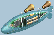 Inside a Fake Fish, Salmon face many obstacles, including the often deadly turbine blades of hydroelectric dams.  So scientist have developed artificial fish laden with sensors to get a close-up view of the dangers.