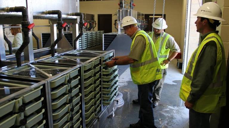 Idaho Fish and Game workers assemble egg trays in 2013 at the then-new Springfield Hatchery near Blackfoot. (Photo Idaho Fish and Game)