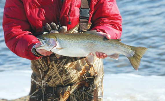 Chinook Salmon in the hands of a sport fisherman.