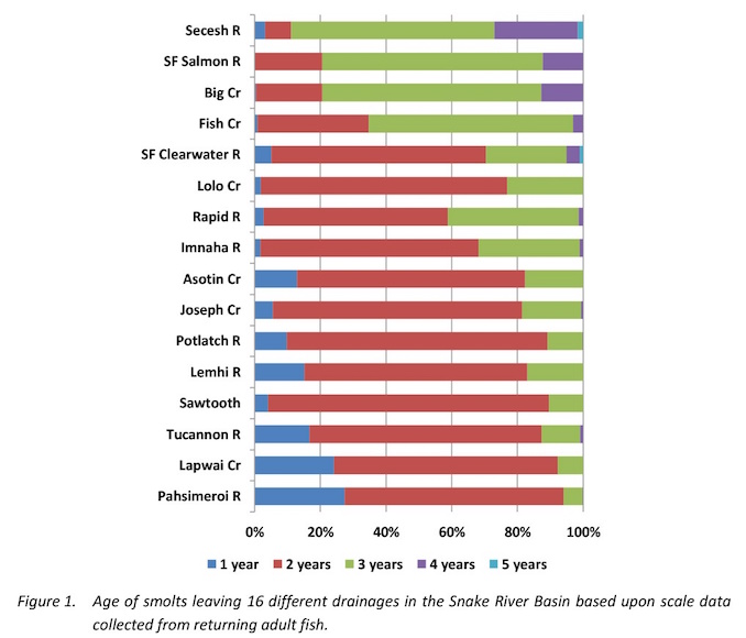 Graphic: Steelhead from different drainages in the NW have at least three different age classes of smolts leaving each year.