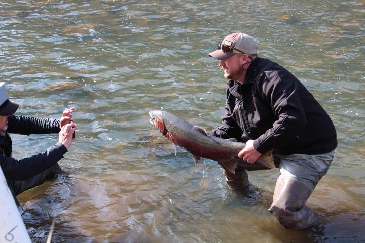 An angler holds a wild steelhead on the South Fork of the Clearwater River as his fishing partner snaps a photograph. The Idaho Department of Fish and Game is conducting a two-year study on the degree to which wild steelhead are impacted by angling. (Idaho Fish and Game photo)