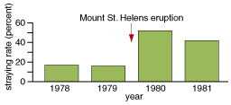 Effect of Mount St. Helens eruption on salmon