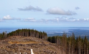 (Bill Wagner) Looking north along Radar Ridge, toward the mouth of Willapa Bay, it's a clear shot to the winds blowing in off the Pacific. Richland-based Energy Northwest proposed building 32 turbines on the ridge near Naselle to generate 82 megawatts.