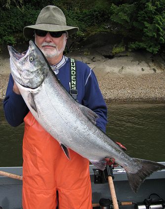 Here is a great looking Summer Chinook caught on the Columbia River below Longview, Washington.