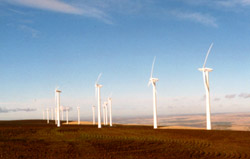 Vansycle Ridge Wind Farm, shown here, will soon have another neighbor in Combine Hills Turbine Ranch 1. (Photo by Mark Ohrenschall)