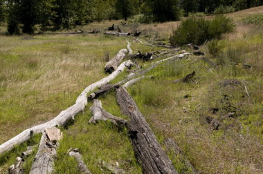 (Benjamin Brink) The Port of Portland's desire to develop West Hayden Island raises objections from environmentalists and questions about the need to expand.