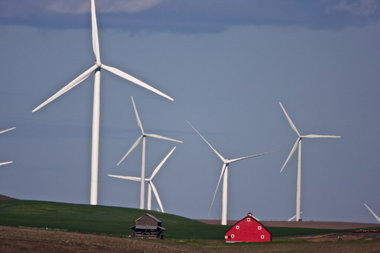 Wind turbines in Blalock Canyon, a few miles off I-84 near Arlington.