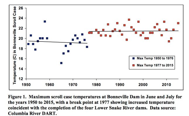 Graphic: Maximum scroll cast temperatures at Bonneville Dam in June and July 1950 to 2015, with a break point at 1977 showing increased temperature coincident witht eh completion of the four Lower Snake River Dams
