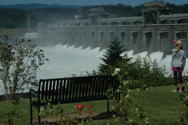 (Terry Richard photo) Water gushes out of Bonneville Dam's spillway this spring.