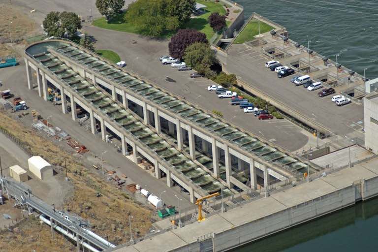 The fish ladder of Ice Harbor Lock and Dam on the Snake River redirects through a parking lot. (Federal Caucus photo)