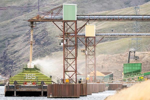 A Tidewater barge is loaded with grain at the Lewis Clark Terminal at the Port of Lewiston on Monday. A study funded by the Pacific Northwest Waterways Association indicates breaching Snake River dams would increase regional transportation costs by $2.3 billion over the next 30 years. (Pete Caster photo)