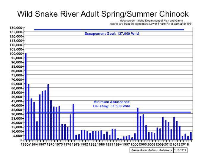 Graph: Returns of Spring/Summer Chinook to Idaho as counted at the highest dam on the Lower Snake River (1961-2020).