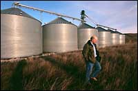 (Mike Urban photo) Dan Blankenship sends more than 1 million bushels of wheat each year from his farm near Washtucna down the Snake River to Portland.