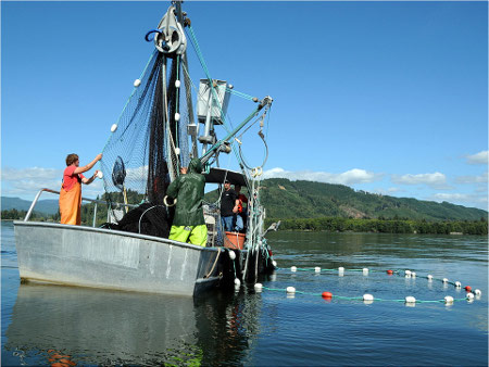 Figure 5. Commercial fishing is often rough, dangerous, and physically demanding, but such types of work nourish strong, enduring bonds among participants who exhibit a collective will to assure that their life style continues. (courtesy Alaska Department Fish and Game)